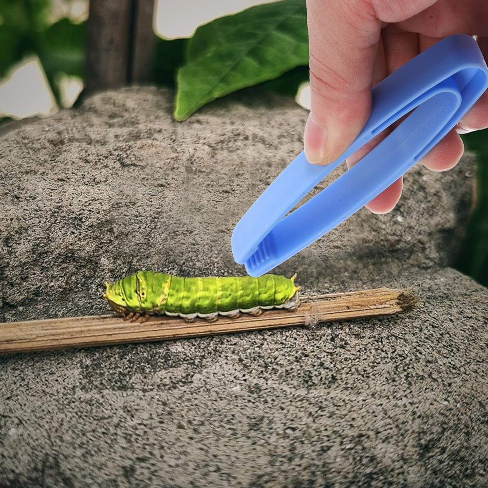 4Pcs Flat-Headed Plastic Tweez - Outdoor Adventure Educator ulasan dan harga